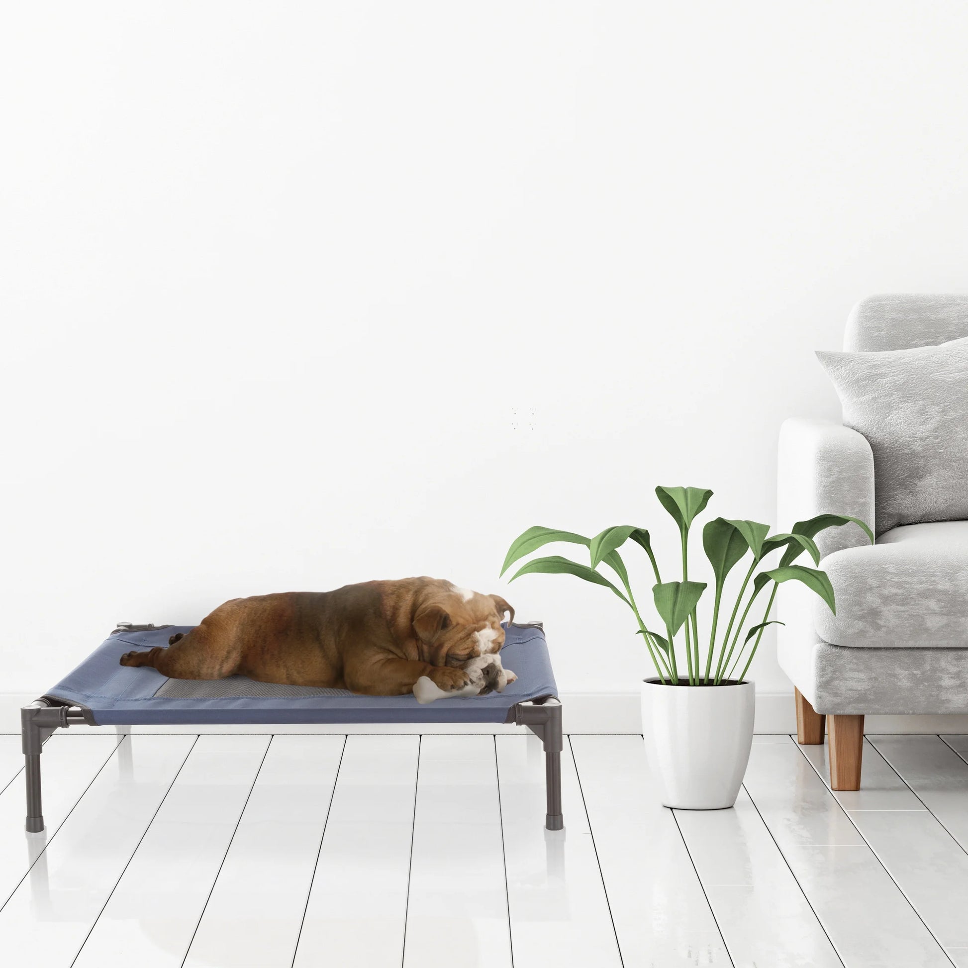 Elevated Pet Bed-Portable Raised Cot-Style Bed W/ Non-Slip Feet 24.5?X 18.5?X 7? for Dogs Cats and Small Pets-Indoor/Outdoor Use by  (Gray)