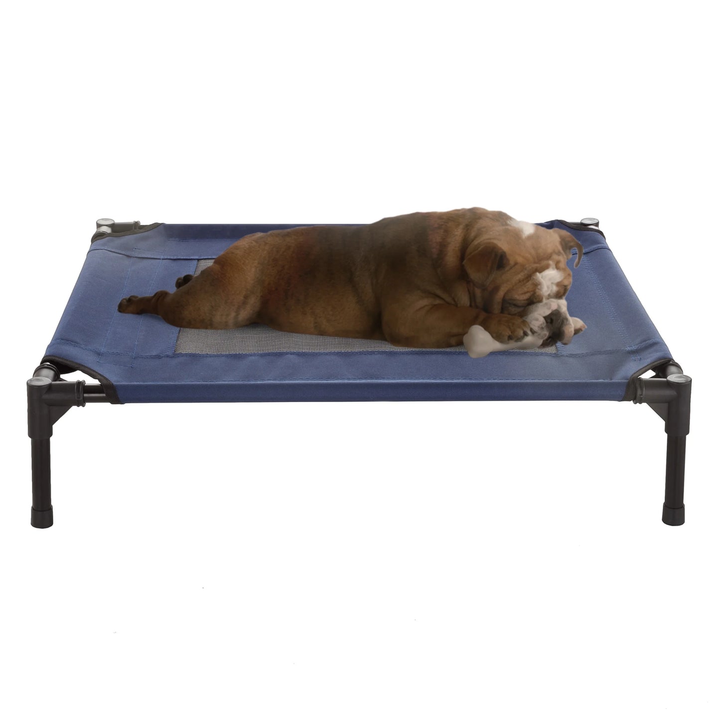 Elevated Pet Bed-Portable Raised Cot-Style Bed W/ Non-Slip Feet 24.5?X 18.5?X 7? for Dogs Cats and Small Pets-Indoor/Outdoor Use by  (Gray)